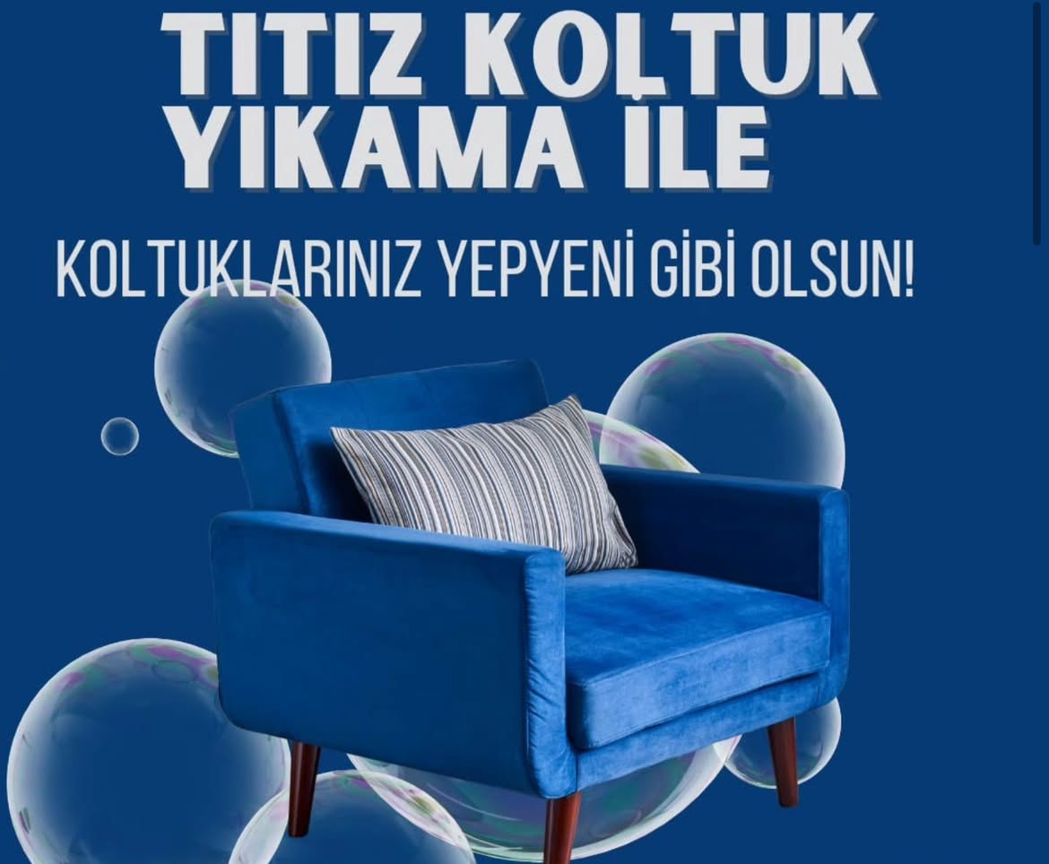 Titiz Koltuk Yıkama